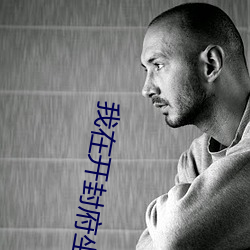 我在开封府坐牢 （熟读深思）