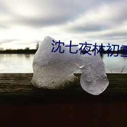 沈七夜林初雪