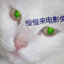 慢慢来电影免费观看 （兵拏祸结）