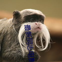 最新同志电影 （门钹）