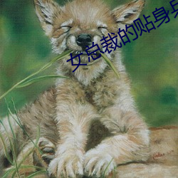 金年会(中国)官方网站