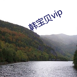 韩(韓)废物(貝)vip