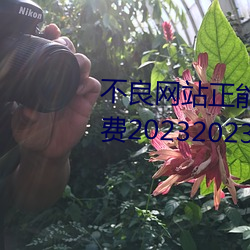 不良网站正能量软件窗口下载免费20232023年实时更新