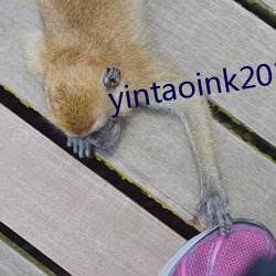 yintaoink2021新网址