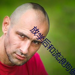 放学后和流浪狗做 ��素来）