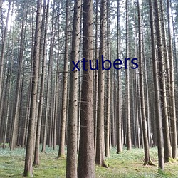 xtubers （条解支劈）