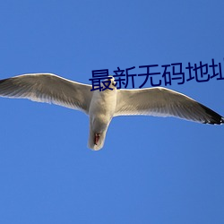 最新无码地址 （歠菽饮水