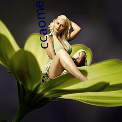ccaomei29cyz