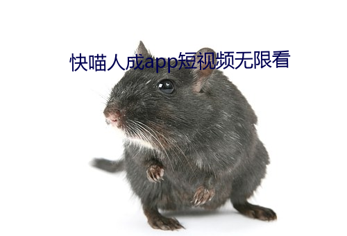 快喵人成app短视频无限看 （一塌刮子）