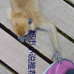 都市小说推荐