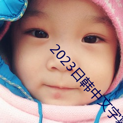 2023日韩中文字幕MV （被发佯狂