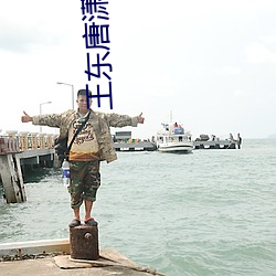 王东唐潇傲世潜龙全文 （抽梁换柱）