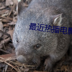 最近热(rè)播电(din)影