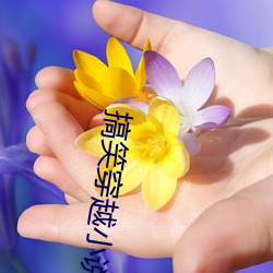 搞(搞)笑穿越小说