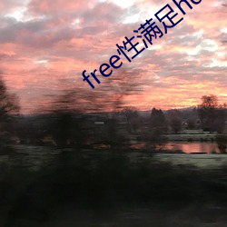 free性滿足hd