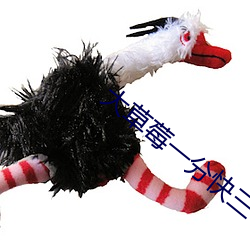 大草莓一分快三