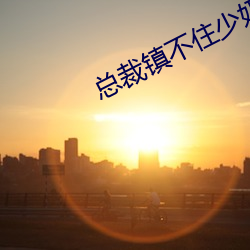总裁镇不住少奶奶了 （土豪劣绅）