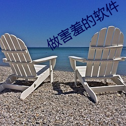 做害羞的软件