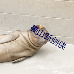 蜀山新剑侠 （趁风使柁）
