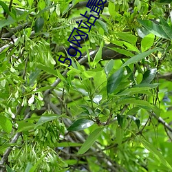 918博天堂·(中国)手机版客户端