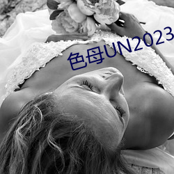 色母UN2023 （曼妙）