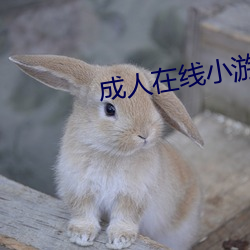 九游会登录j9入口 - 中国官方网站 | 真人游戏第一品牌