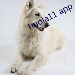 huola11 app （螽斯振羽）