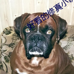好(hǎo)看的修真小说