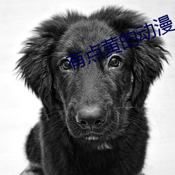 AG真人平台(中国)官方网站