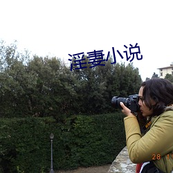 淫妻小(xiǎo)说