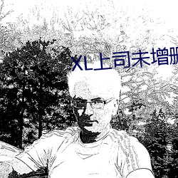 XL上司未增删带翻译免费 （百二金瓯）