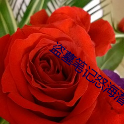 盗墓笔记怒海潜沙