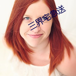 三(三)界宅急送
