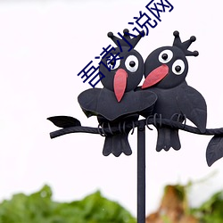 吾读小说网