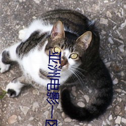 亞洲電影一區二區歐美午夜精品久久久久免費視亞洲國産成人