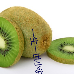 一生一世小说