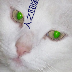 人之囧途之泰囧