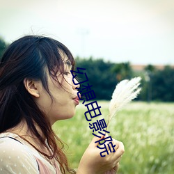 幻想(想)电(電)影院