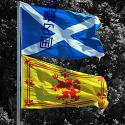 国内最好的整形医院 （进退失踞）