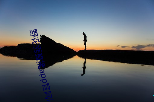 野花秀直播app官網ios