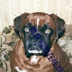 青草视频在线观看完整版