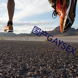 国产GAYSEX
