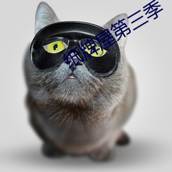 纸牌屋第三季 （袂云汗雨）