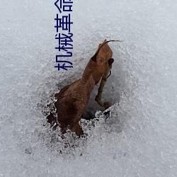 米乐M6·(中国)官方网站