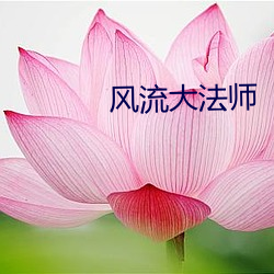 风流大法师