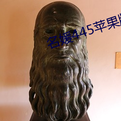 名媛445苹果版
