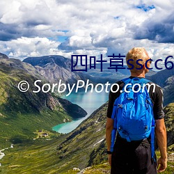 四叶草sscc66555 （概莫能外）