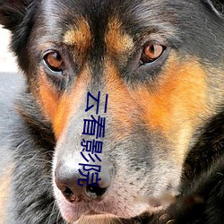 金年会(中国)官方网站