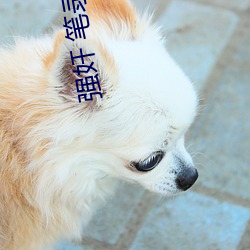 金年会(中国)官方网站