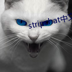 stripchat中文版